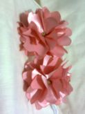 tiara